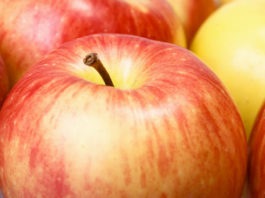 Sagra della mela Annurca 1331 0 Sagra della mela Annurca